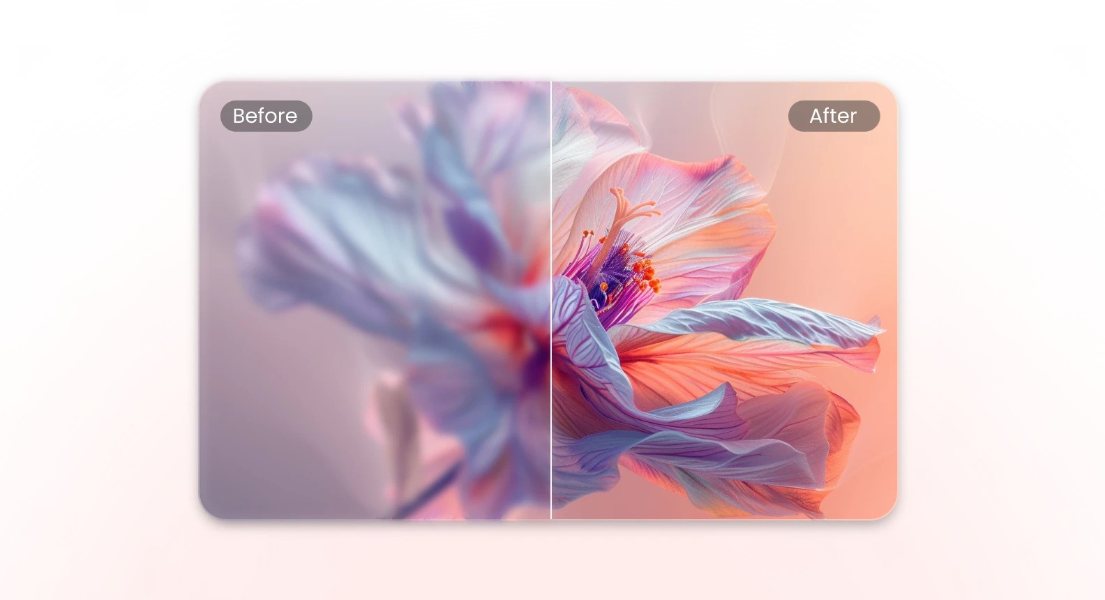 TikTok Unfreeze Account