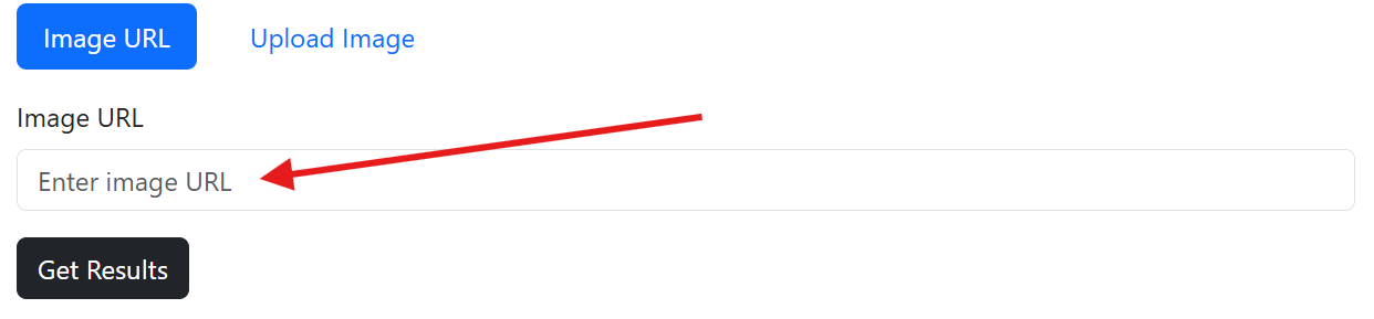 Image of the reverse image search tool interface