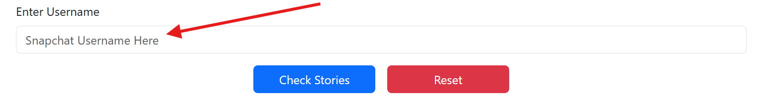 Image of the Snapchat Story Viewer tool interface